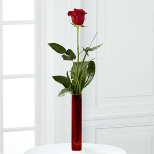 The FTD� Deeply Devoted� Bouquet