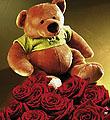 7 Roses and Teddy Bear