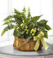 The FTD� Always Dear� Dishgarden