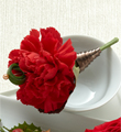 The FTD� Red Carnation Boutonniere