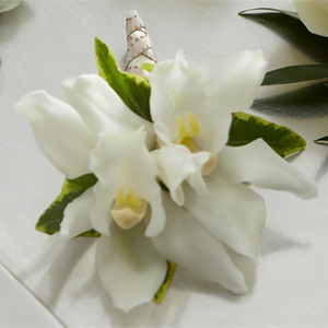 The FTD� White Mini Cymbidium Boutonniere