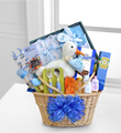 Special Stork Delivery Baby Boy Basket